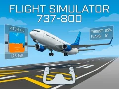 Igra Flight Simulator 737-800 spletu