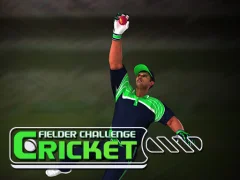 Igra Cricket Fielder Challenge spletu