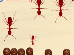 Igra Smash All Ants spletu