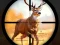 Igra Wild Hunting Clash spletu