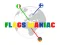 Igra Flags Maniac spletu