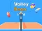 Igra Volley Bean spletu