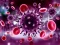 Igra Coronavirus Puzzle spletu