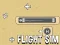 Igra Flight Sim spletu