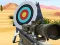 Igra Hit Targets Shooting spletu