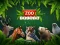 Igra ZOO Trivia spletu