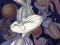 Igra Space Jam spletu