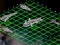 Igra Intergalactic Battleships spletu