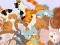 Igra Find The Kitty spletu