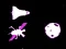 Igra Rescate Espacial spletu