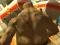 Igra Monster Simulator spletu