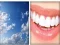 Igra 4x1 Picture Quiz spletu
