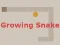 Igra Growing Snake spletu