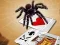 Igra Jumping Spider spletu
