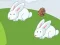 Igra Crazy Eggs spletu