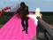 Igra SWAT 3 spletu
