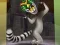 Igra King Julien: Trommel-Tanz spletu