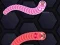 Igra Angry Worms spletu