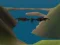 Igra Sky of Dragons Rule the sky spletu