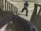 Igra Western:Invasion spletu
