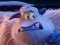 Igra Smallfoot Puzzle spletu