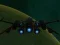 Igra Spaceship Arena spletu