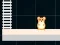 Igra Hamster Grid Even Odd spletu