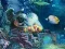 Igra Sunken Gold spletu
