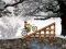 Igra Ice Biker spletu