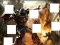 Igra Transformers 3 image puzzles spletu