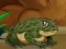 Igra Frogs Matching spletu