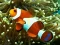 Igra Underwater Hidden Numbers spletu