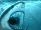 Igra Hungry Shark spletu