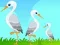 Igra Little Garden Escape spletu