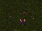 Igra Starcraft 3 spletu