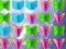 Igra Butterfly Collector spletu