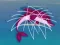 Igra Dolphin Rescue spletu