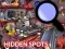 Igra Hidden Spots In The Room spletu