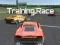 Igra Training Race spletu