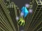Igra Marble Rolling Stunt spletu