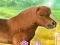 Igra My Dear Pony spletu