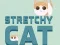 Igra Stretchy Cat spletu