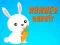 Igra Runner Rabbit spletu
