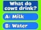 Igra Trivia Best Family Quiz spletu