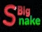Igra Big Snake.io spletu