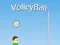 Igra VolleyBall spletu