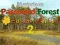 Igra Mysterious Password Forest Autumn Edition 2 spletu