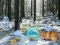 Igra Winter Wonderland Forest Adventure spletu