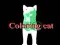 Igra Coloring cat spletu