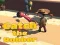 Igra Catsh the robber spletu